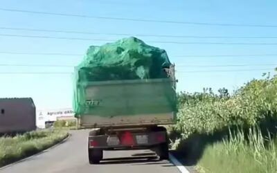 Cubrir la carga, minivideo o short