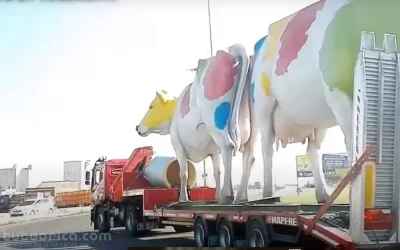 Transporte especial videoanálisis