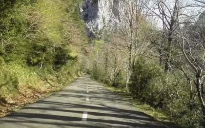 Carretera convencional por bosque, imagen