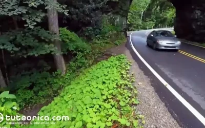El problema de la accidentalidad en carreteras convencionales