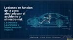Lesiones que se producen en los siniestros viales seg&uacute;n la zona afectada