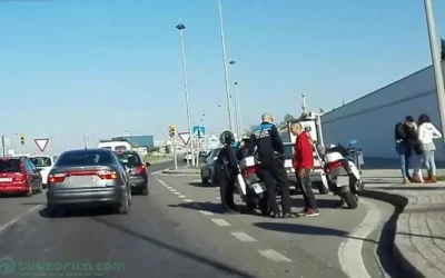Turismo inmovilizado por agentes de tráfico