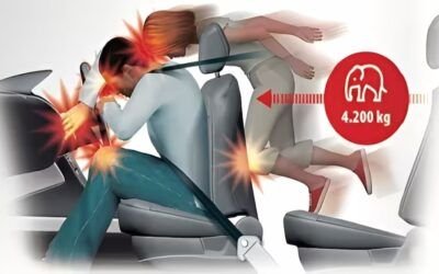 Pasajero trasero sin cinturón | FOTOANÁLISIS