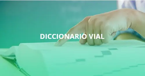 Diccionario vial