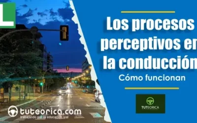 Los procesos perceptivos en la conducción