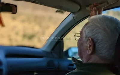 El envejecimiento en seguridad vial: características y variabilidad individual