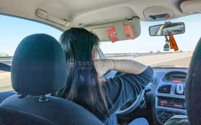 Conducción negligente: ejemplos curiosos