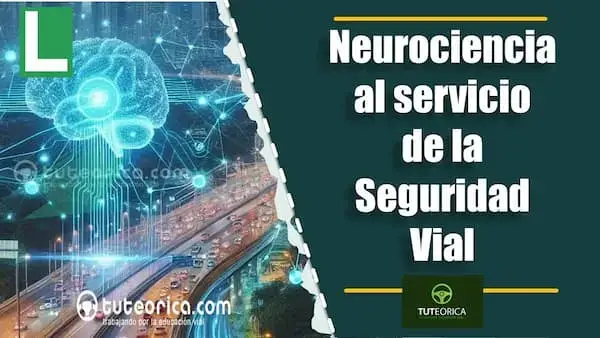 Portada neurociencia al servicio de la seguridad vial