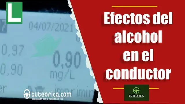 Efectos del alcohol en el conductor