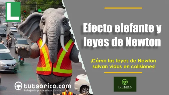 Efecto elefante segun las Leyes de Newton