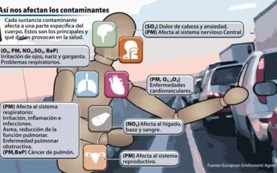 Infografía cómo nos afectan los contaminantes