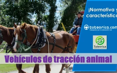 Normativa para vehículos de tracción animal