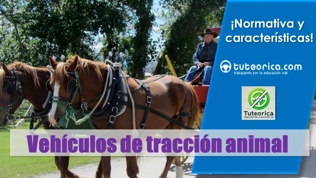Normativa para vehículos de tracción animal