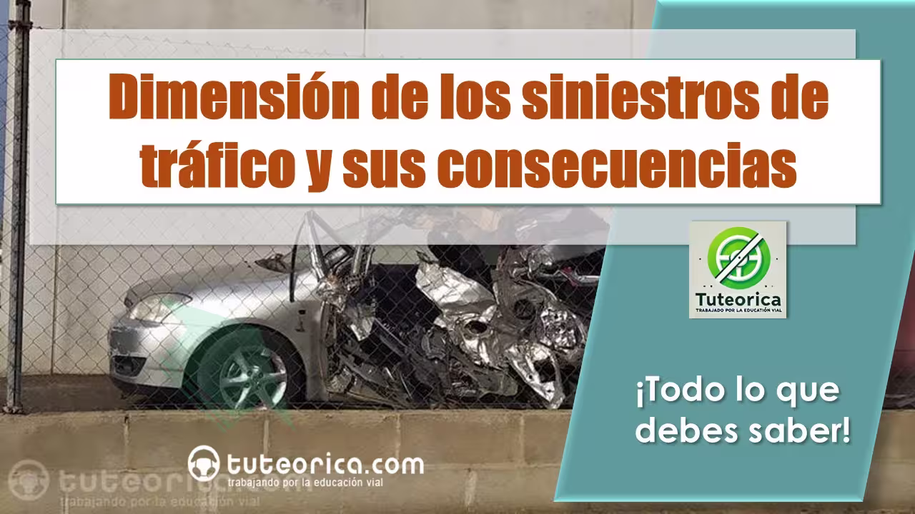 Dimension de los siniestros viales