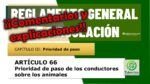 Prioridad de los conductores sobre los animales. Art&iacute;culo 66 del RGCir