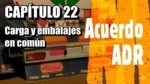 Carga en com&uacute;n de mercanc&iacute;as peligrosas. Embalaje en com&uacute;n. Manual ADR 22