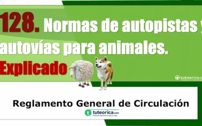 Normas de autopistas y autovías para animales. Artículo 128 del RGCir