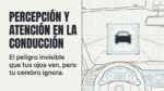 Percepci&oacute;n y atenci&oacute;n en la conducci&oacute;n: c&oacute;mo tu cerebro puede provocar un accidente | Psicolog&iacute;a vial 1